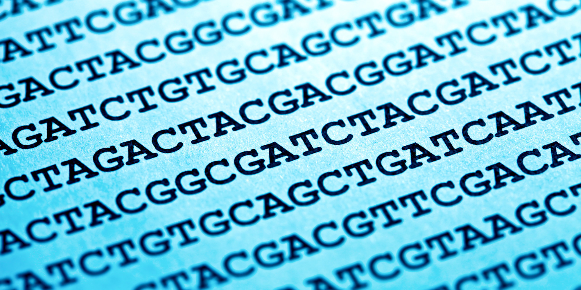 Assignment: DNA & RNA