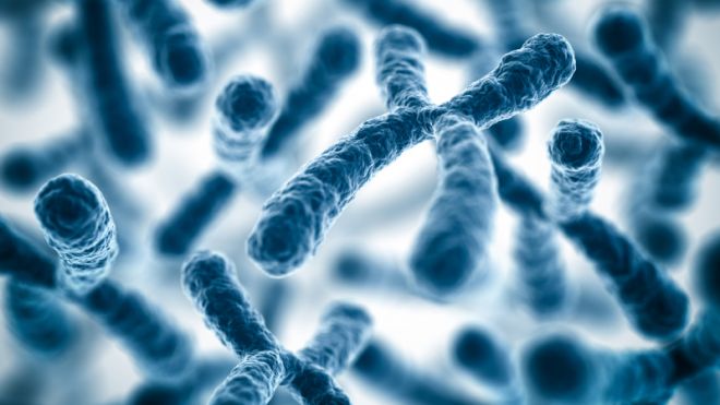 the blueprint of life [10]: eukaryotic structure of DNA 3