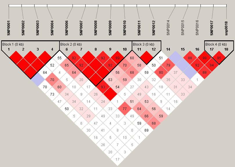 Mendel’s Genetics [7]: handling problems