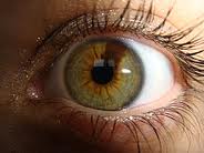 MOSAIC (GENETICS)"Heterochromia iridum and iridus" image from simple.wikipedia.org